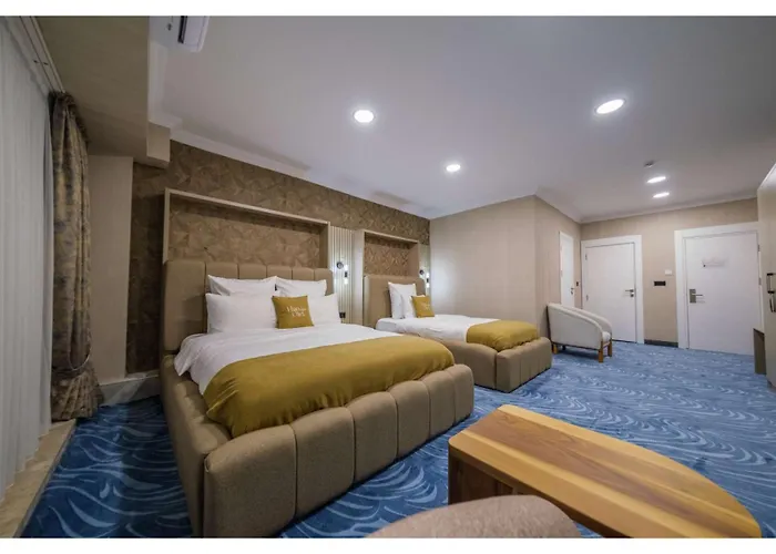 فندق Hanzadehotel 3*